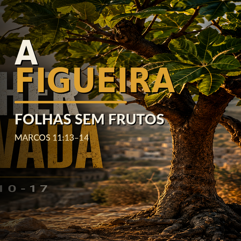 Capa de FOLHAS SEM FRUTOS